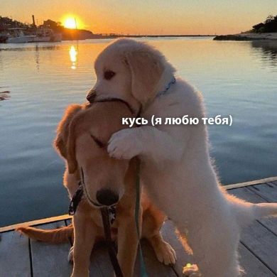 Aibek Aktore Profile Picture