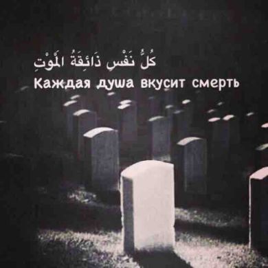 Mohmad  Atabayev  Profile Picture