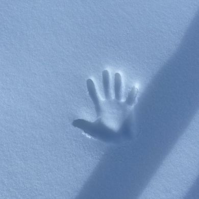 Арсен  Хайбуллаев