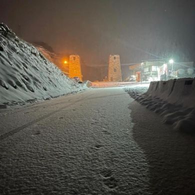 адам магомедов Profile Picture