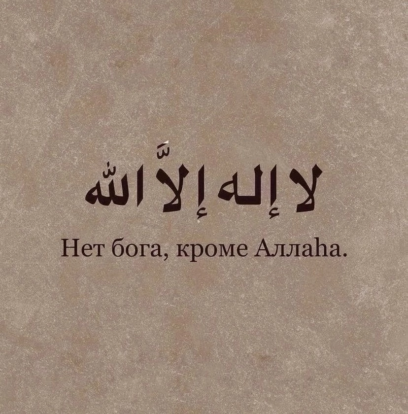 ام الن Profile Picture