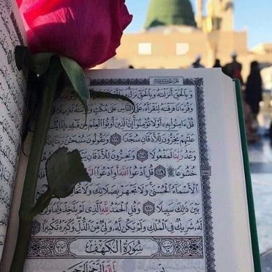 ALBINA YMMA Profile Picture