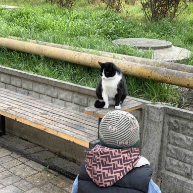 Айшат Гасанова