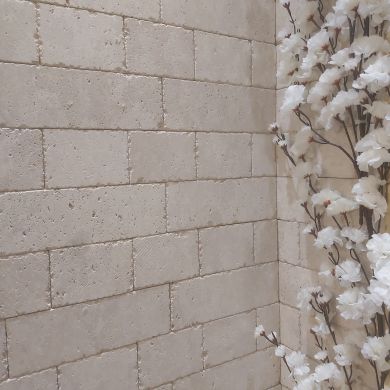 Alimed Bolotbek Profile Picture