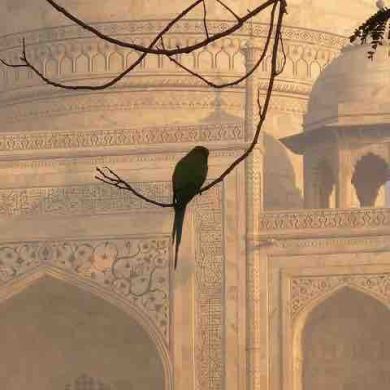 Kkami M Profile Picture