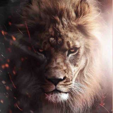 Aisha Mirzamagomedova  Profile Picture