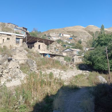 amir amirov Profile Picture