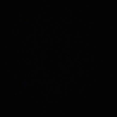 Медина  Сибилева