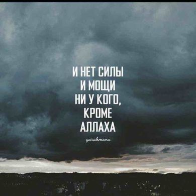 Махач Гаджиев Profile Picture