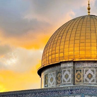 Наиля В Profile Picture