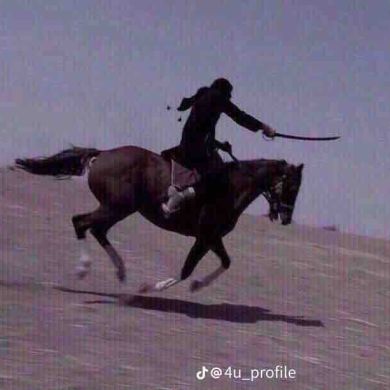 алижан муслим