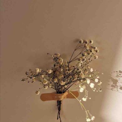 Alima Alima Profile Picture