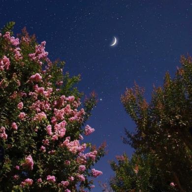 عبد الرحمان من سيبيريا Profile Picture