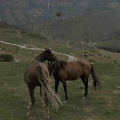 Мадина Омарова