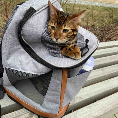 dinara Magomedova Profile Picture