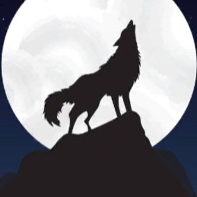 BADRUDDIN 1ARBI ZILA