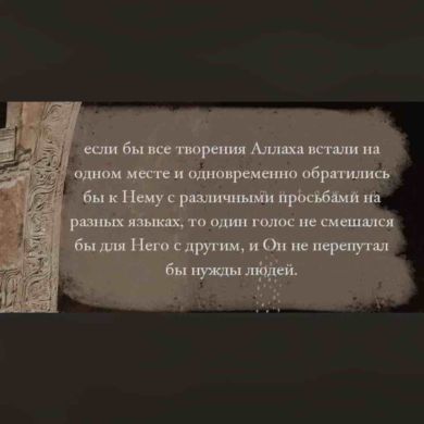 Тима Батаев profile picture