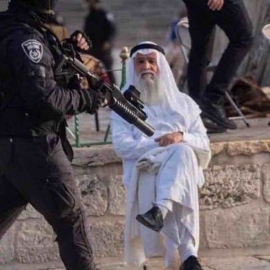 Mikail Suleymanov Profile Picture