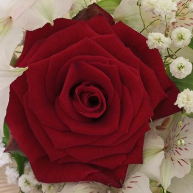 МАЛИКА АМРАХОВА Profile Picture