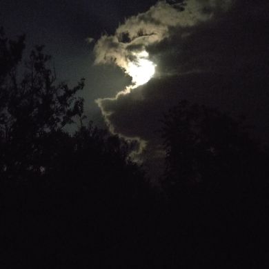 Амир Амиров