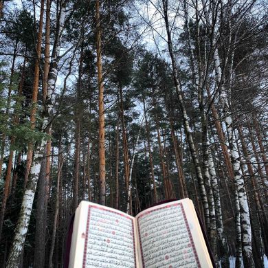 Нури умм Мурад Profile Picture