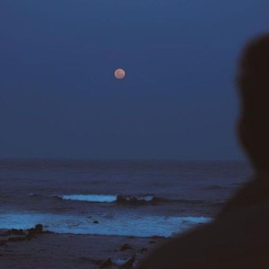 Ramzan baysuev Profile Picture