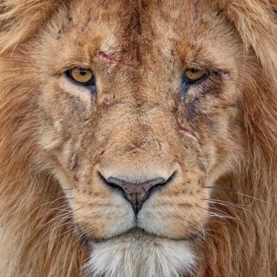 Ерік Ғаниұлы Profile Picture