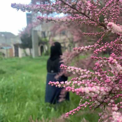 любимая жена А♾️Р Profile Picture