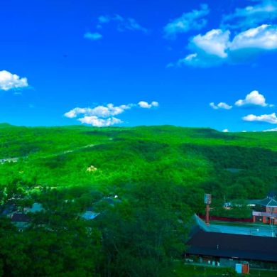 Пленный Саляф Profile Picture