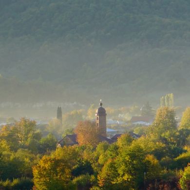 sa1d pankissky Profile Picture