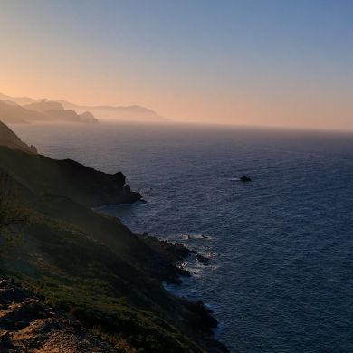 Lassoued Razek Profile Picture