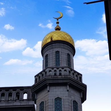 Shodi Rahmatow Profile Picture