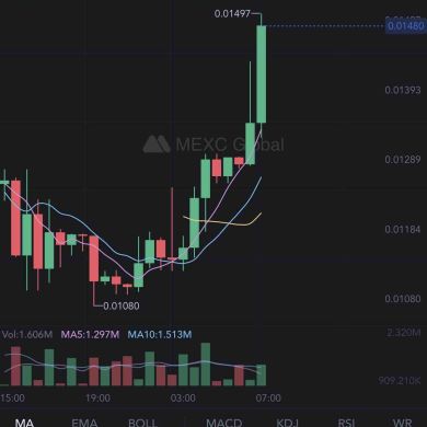 Mohamed M Profile Picture