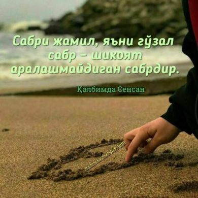 Айгерим Пайзуллаева Profile Picture