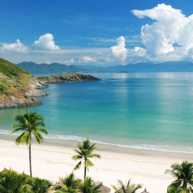 أبو عبد الرحمن عبد ا