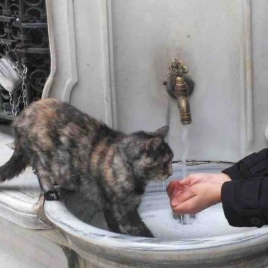 Саида Блалова Profile Picture