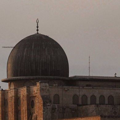 Адам Адамов Profile Picture