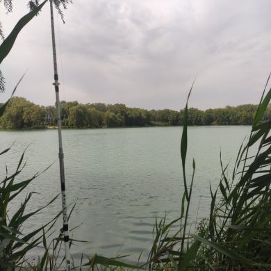 Zakir Ali Profile Picture