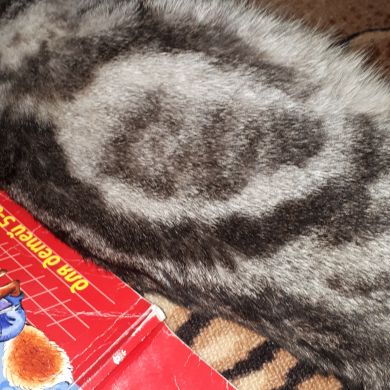 женнет Балабекова Profile Picture