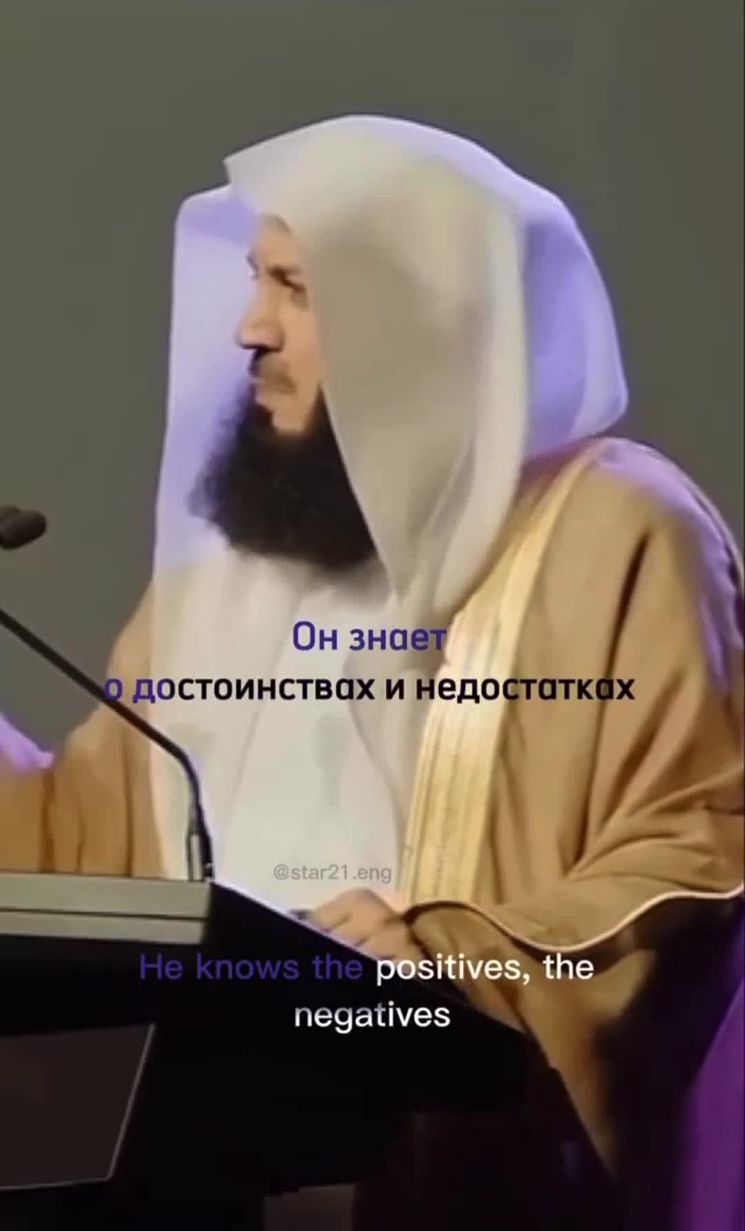 Запись от 26.05.2023 22:02 | Rose in the derest