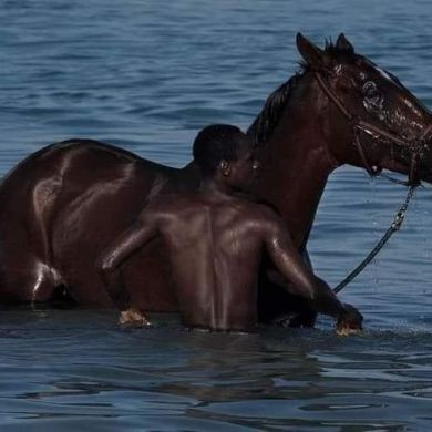 SALEM  ALFAITURI Profile Picture