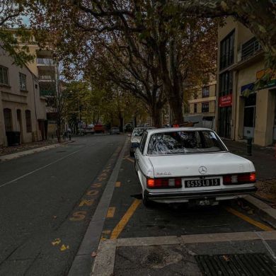 Adam Salyaf Profile Picture