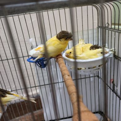 ismail ismail Profile Picture