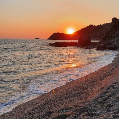 Miss khak Profile Picture