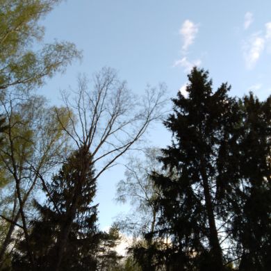 Mahdi Abdullah Profile Picture