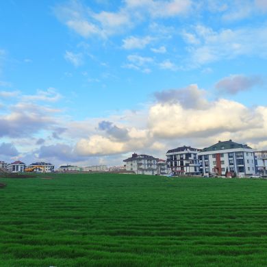 Zaur Eskendarov  Profile Picture