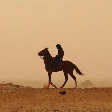 musafir ittt Profile Picture