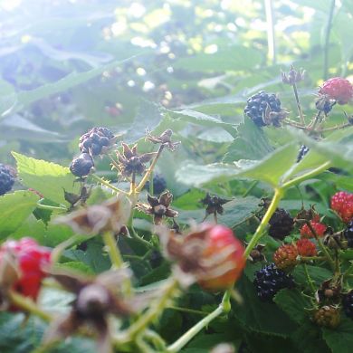 Вадим Михайлов Profile Picture