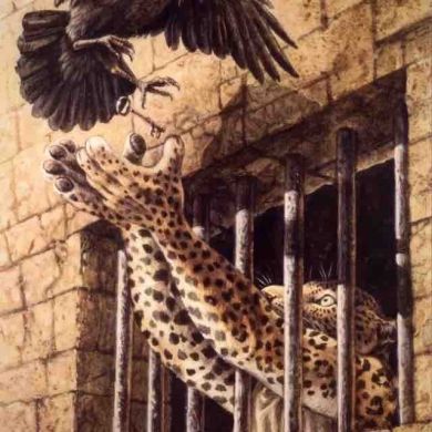 Azizgiev Sahib Profile Picture