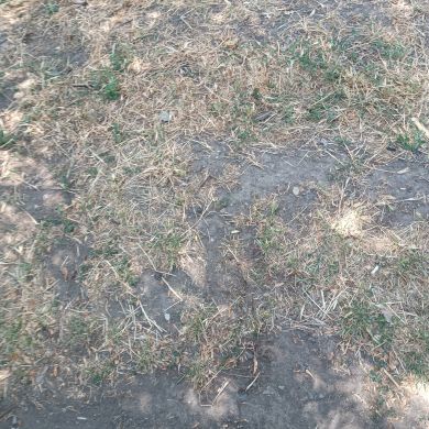 Nigina Nigina Profile Picture